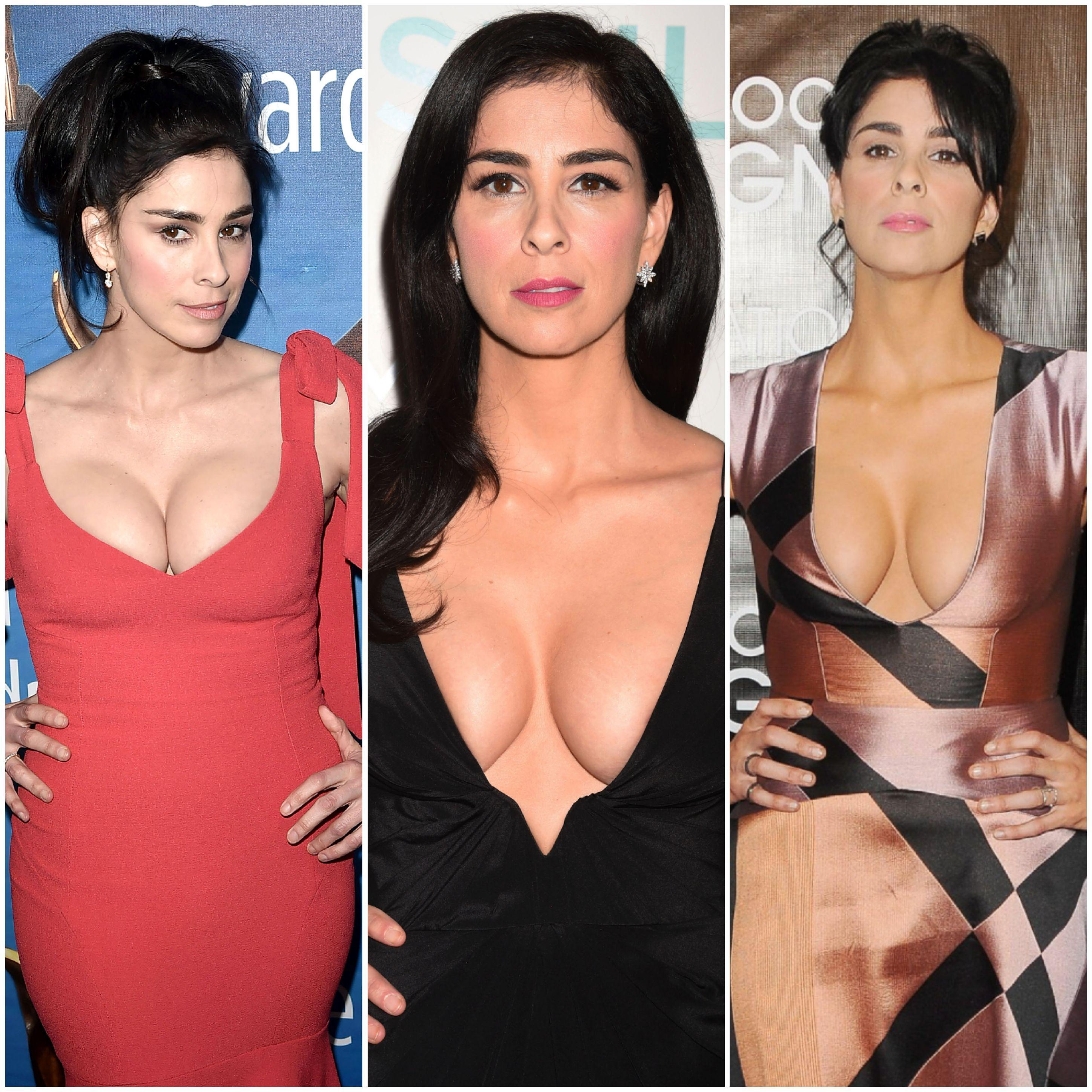 Sarah Silverman – 2 Biggest Reasons I Am A Fan Of Her…her Sense Of Humor And Her Heart Worming Voice…NOT!!!