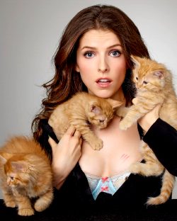 Anna Kendrick Holding A Couple Of Kittens