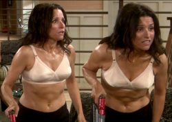 Julia Louis-Dreyfus In The New Adventures Of Old Christine