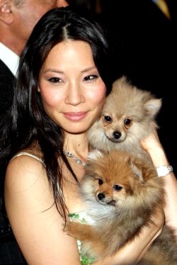 Lucy Liu And Dogs