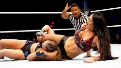 Ronda Rousey And Nikki Bella