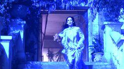 Winona Ryder In Bram Stoker’s Dracula